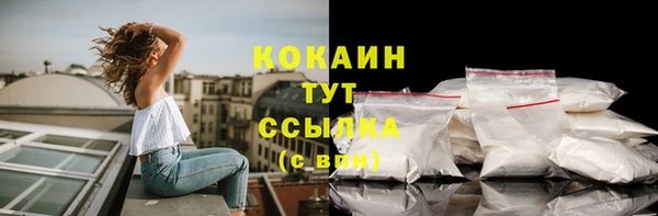 индика Костерёво