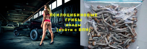 ешки Кукмор