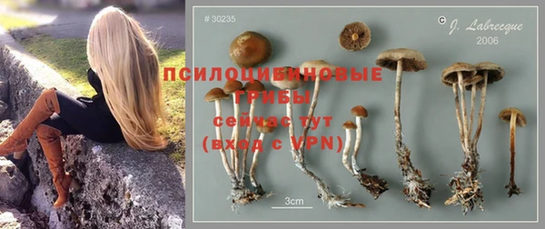 2c-b Краснотурьинск